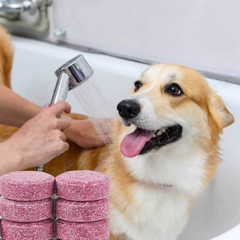 Effervescent Pet Wash Tablets (4 Litres/Piece)