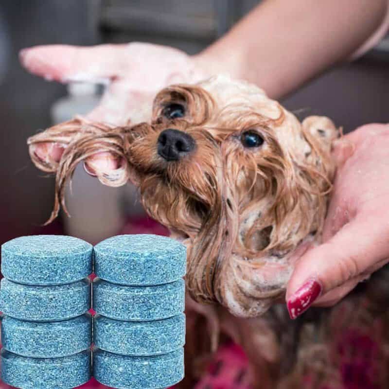 Effervescent Pet Wash Tablets (4 Litres/Piece)